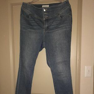Lane Bryant High Waisted Studded Denim Jeggings Size 14